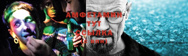 индика Балабаново