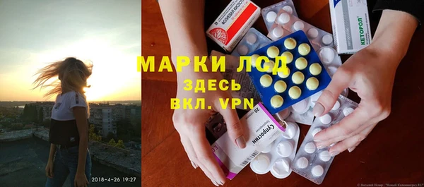 индика Балабаново
