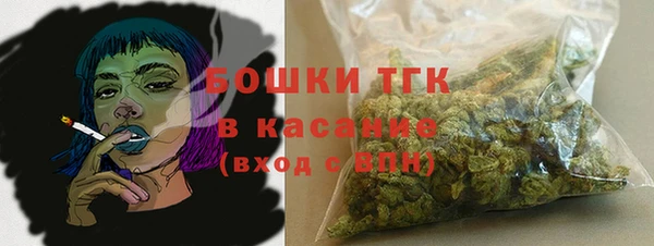 индика Балабаново