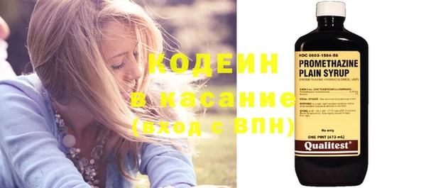 индика Балабаново