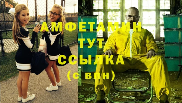 индика Балабаново