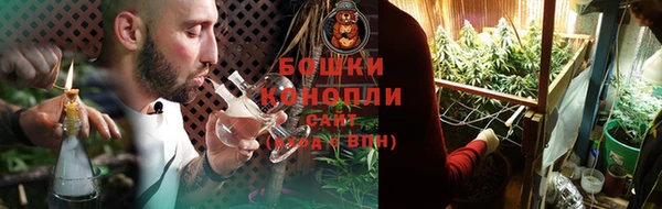 индика Балабаново