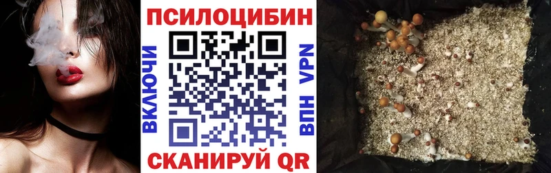 Купить  Керчь  Галлюциногенные грибы MAGIC MUSHROOMS 